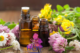 Curso Florais de Bach