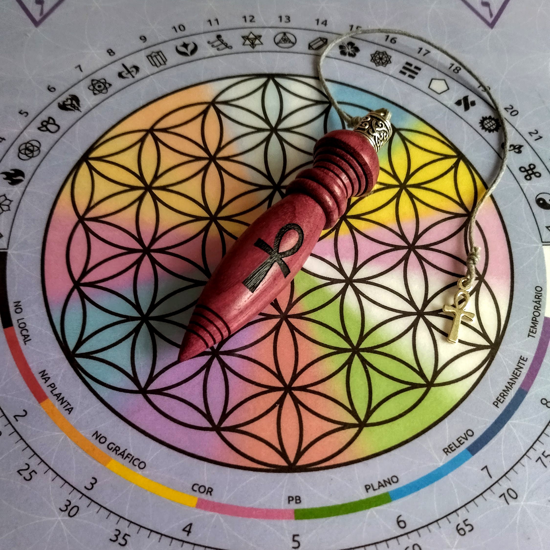 Mesa Radiônica por Área